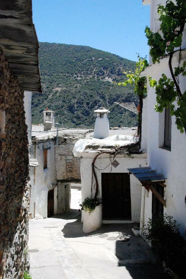 Casa Africa Mecina Fondales